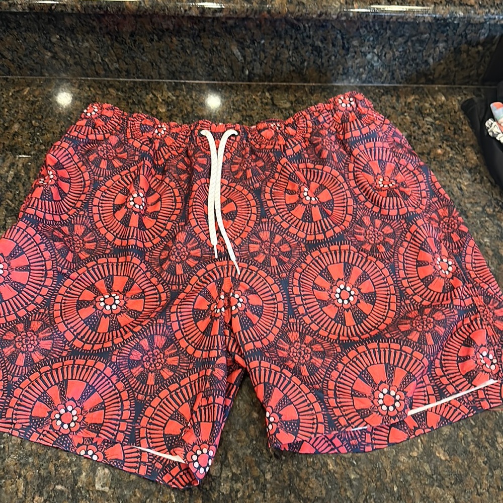 Ocean + Coast men’s swim suit shorts